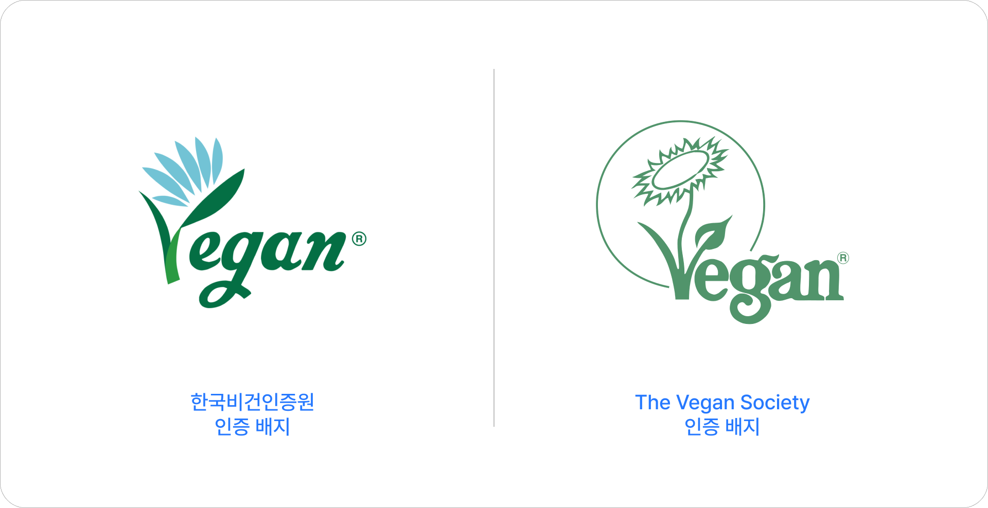 비건 인증